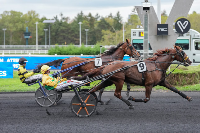 Photo d'arrivée de la course pmu PRIX BRUCIA à PARIS-VINCENNES le Mardi 13 octobre 2026