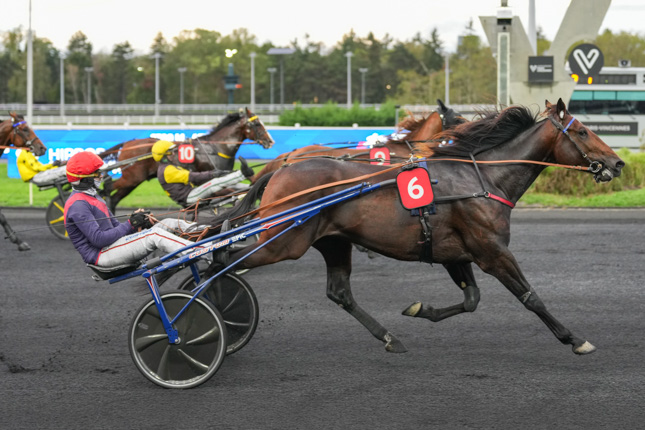 Photo d'arrivée de la course pmu PRIX ARETHUSA à PARIS-VINCENNES le Mardi 13 octobre 2026