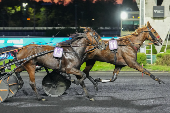 Photo d'arrivée de la course pmu PRIX PRYMNO à PARIS-VINCENNES le Mardi 13 octobre 2026