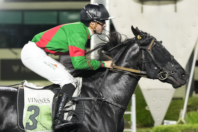 Photo d'arrivée de la course pmu PRIX ORION à PARIS-VINCENNES le Mardi 13 octobre 2026
