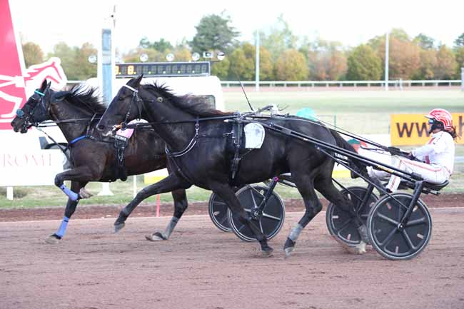 Photo d'arrivée de la course pmu GRAND NATIONAL DES AMATEURS - PRIX DE L'UNAT à REIMS le Mercredi 14 octobre 2026
