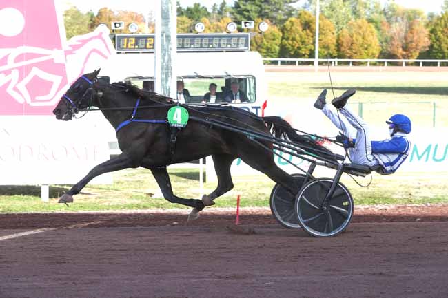Photo d'arrivée de la course pmu PRIX DU CHAMPAGNE CASTELNAU à REIMS le Mercredi 14 octobre 2026