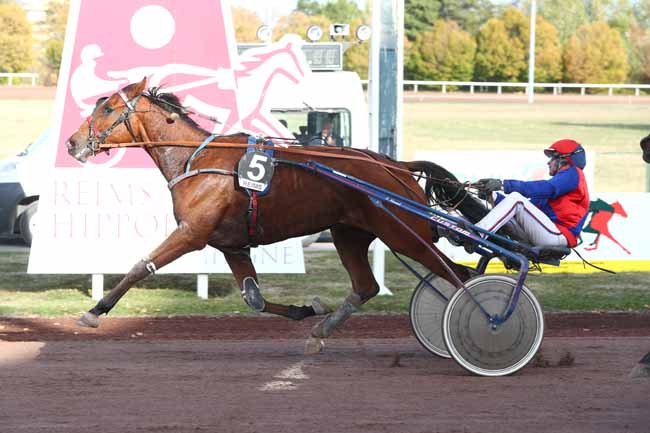 Photo d'arrivée de la course pmu PRIX GILBERT CORNET à REIMS le Mercredi 14 octobre 2026