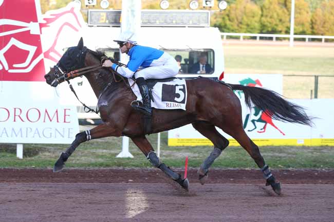 Photo d'arrivée de la course pmu GRAND NATIONAL DES JOCKEYS à REIMS le Mercredi 14 octobre 2026
