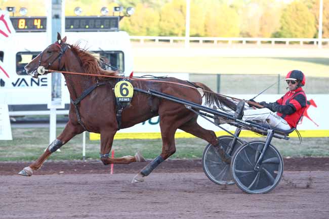 Photo d'arrivée de la course pmu PRIX PMU 