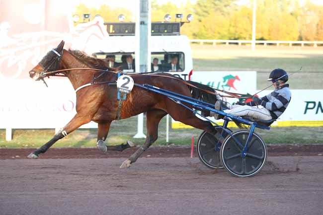 Photo d'arrivée de la course pmu PRIX DES NOUVEAUX PARTENAIRES PMU (PRIX DU GRAND REIMS) à REIMS le Mercredi 14 octobre 2026