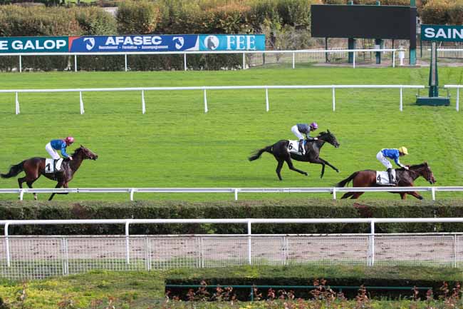 Photo d'arrivée de la course pmu PRIX TANERKO à SAINT CLOUD le Mercredi 14 octobre 2026