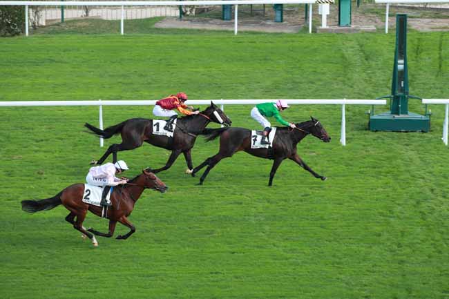 Photo d'arrivée de la course pmu PRIX TORNADO à SAINT CLOUD le Mercredi 14 octobre 2026