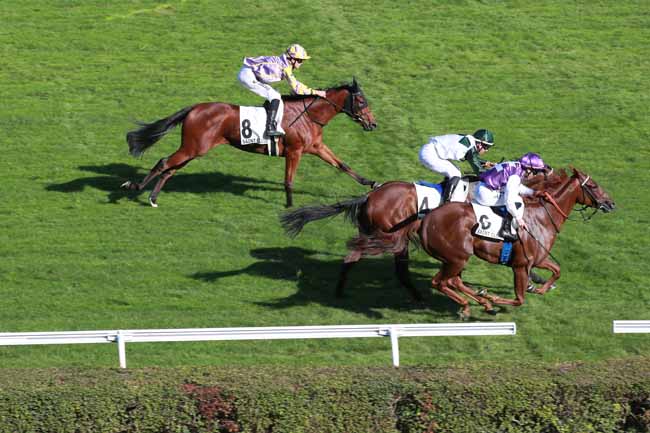 Photo d'arrivée de la course pmu PRIX DE LA FONTAINE à SAINT CLOUD le Mercredi 14 octobre 2026