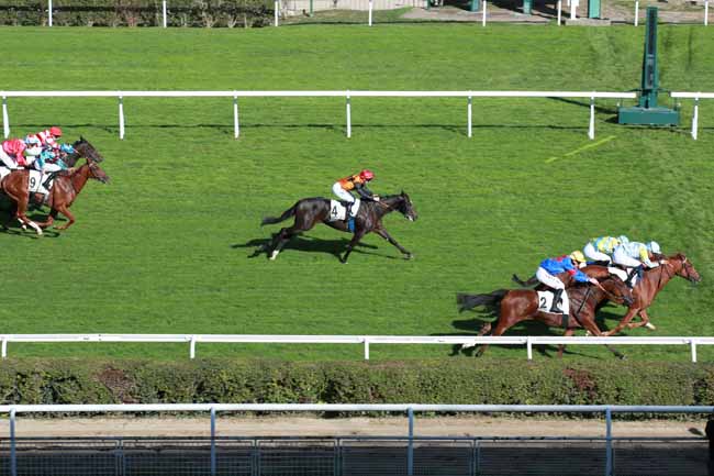 Photo d'arrivée de la course pmu PRIX GUEMUL à SAINT CLOUD le Mercredi 14 octobre 2026