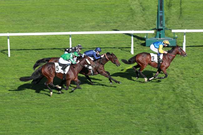 Photo d'arrivée de la course pmu PRIX DE LA POINTE DU HODE à SAINT CLOUD le Mercredi 14 octobre 2026