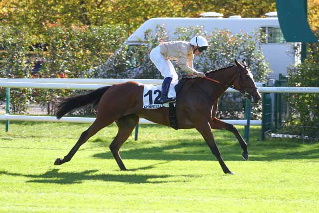 Arrivée quinté pmu PRIX DE LA VIERGE DE LORETTE à CHANTILLY