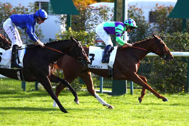 Photo d'arrivée de la course pmu PRIX DU JARDIN ANGLAIS à CHANTILLY le Jeudi 15 octobre 2026