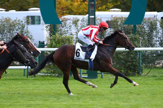 Photo d'arrivée de la course pmu PRIX DE L'AMANTE INQUIETE à CHANTILLY le Jeudi 15 octobre 2026