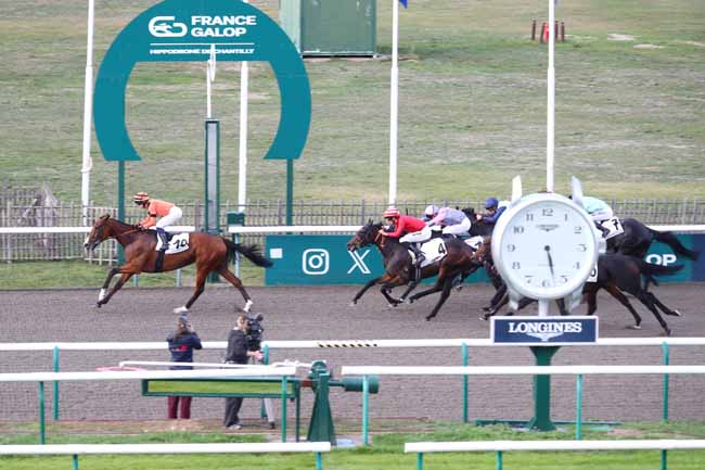 Photo d'arrivée de la course pmu PRIX DU CHENE DES GRES à CHANTILLY le Jeudi 15 octobre 2026