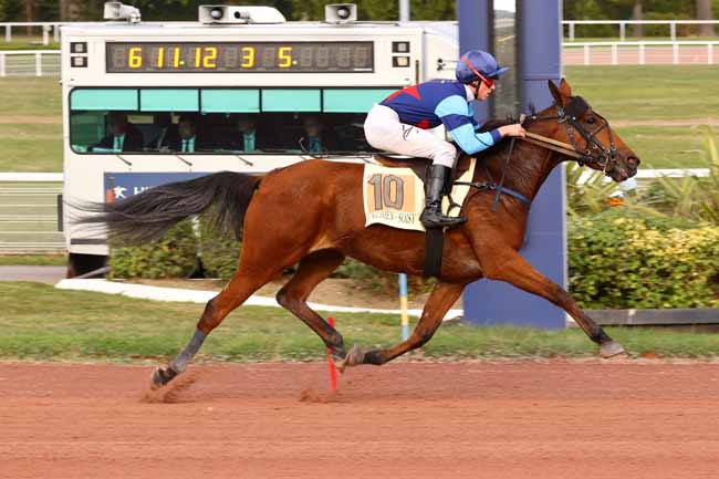 Photo d'arrivée de la course pmu PRIX DE LA MUETTE à ENGHIEN le Jeudi 15 octobre 2026