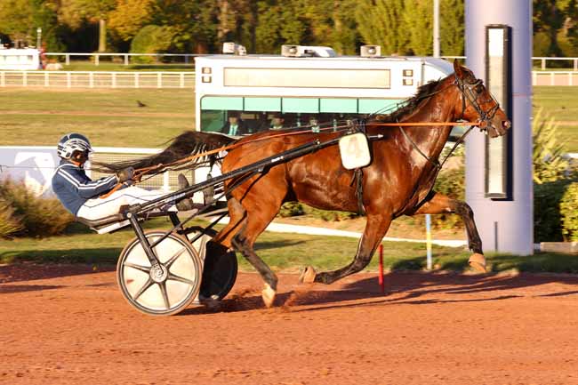 Photo d'arrivée de la course pmu PRIX DE GRAVELINES à ENGHIEN le Jeudi 15 octobre 2026