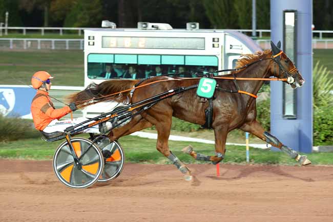 Photo d'arrivée de la course pmu PRIX DE RIBEMONT à ENGHIEN le Jeudi 15 octobre 2026