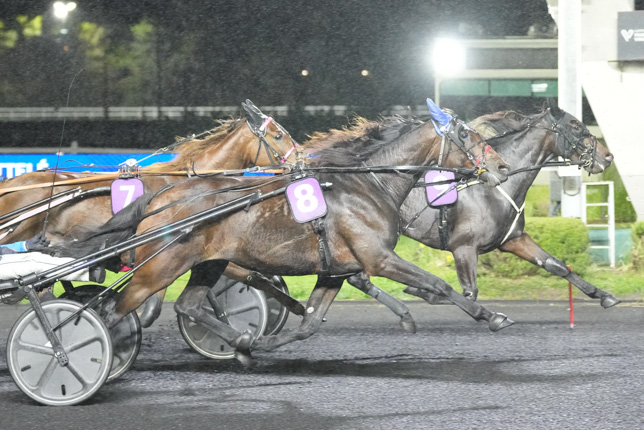 Photo d'arrivée de la course pmu PRIX OPHIUCUS à PARIS-VINCENNES le Vendredi 16 octobre 2026