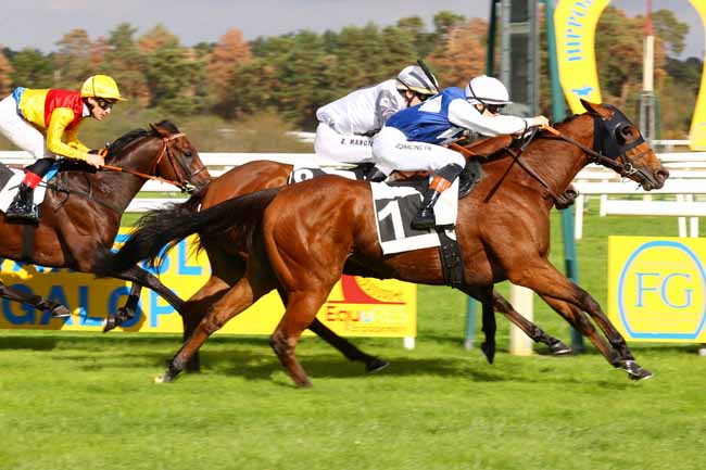 Photo d'arrivée de la course pmu PRIX DES BOULEAUX à FONTAINEBLEAU le Vendredi 16 octobre 2026