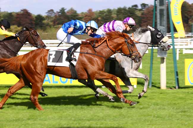 Photo d'arrivée de la course pmu PRIX DES MYOSOTIS à FONTAINEBLEAU le Vendredi 16 octobre 2026