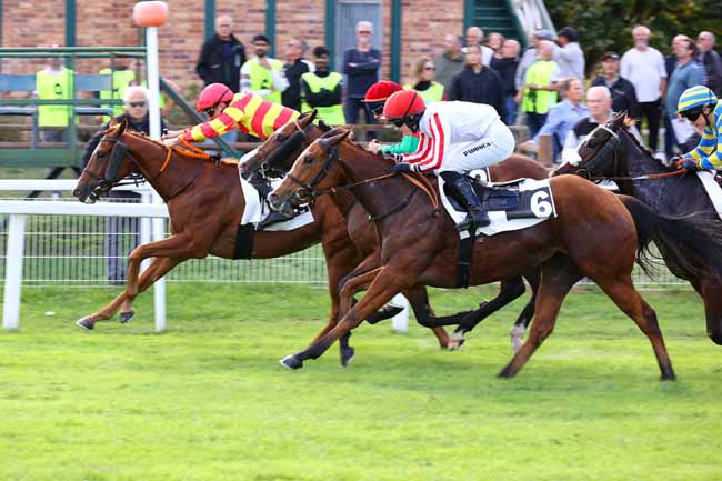 Photo d'arrivée de la course pmu PRIX MAITRES ET SOUS-MAITRES DE MANEGE DU REGIMENT DE CAVALERIE à FONTAINEBLEAU le Vendredi 16 octobre 2026
