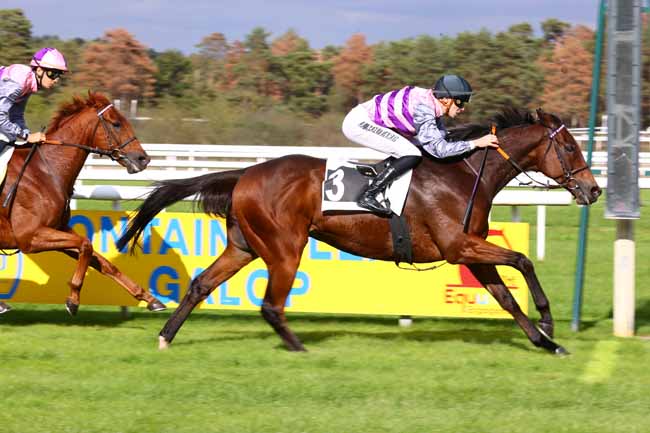 Photo d'arrivée de la course pmu PRIX DES CHEVREUILS à FONTAINEBLEAU le Vendredi 16 octobre 2026