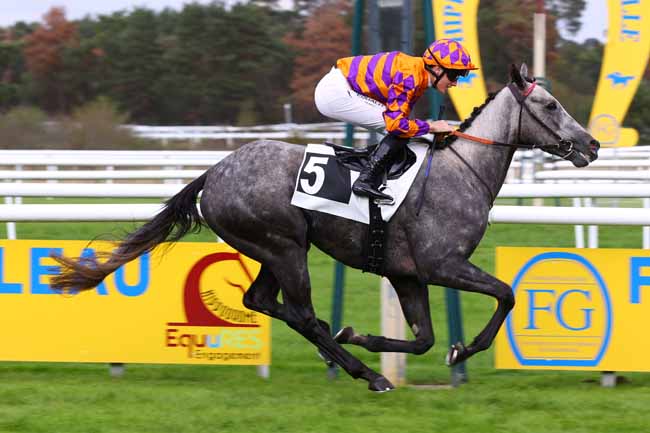 Photo d'arrivée de la course pmu PRIX DES BICHES à FONTAINEBLEAU le Vendredi 16 octobre 2026