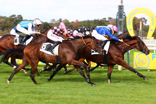 Photo d'arrivée de la course pmu PRIX ARTUS DE MAILLE à FONTAINEBLEAU le Vendredi 16 octobre 2026