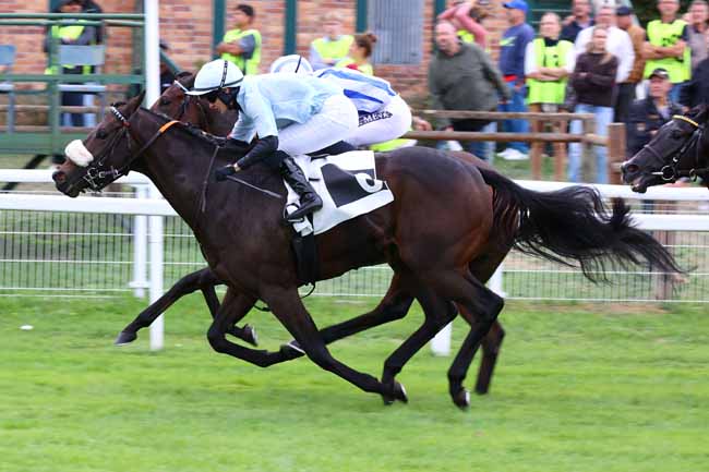 Photo d'arrivée de la course pmu PRIX DE LA MARE AUX EVEES à FONTAINEBLEAU le Vendredi 16 octobre 2026