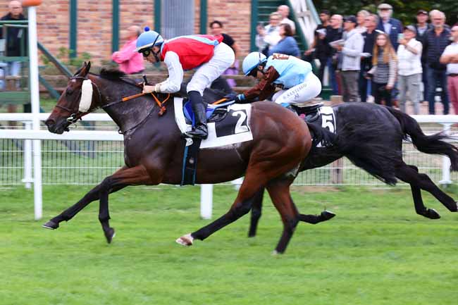 Photo d'arrivée de la course pmu PRIX DU SOUTIEN A LA FORET DE FONTAINEBLEAU à FONTAINEBLEAU le Vendredi 16 octobre 2026