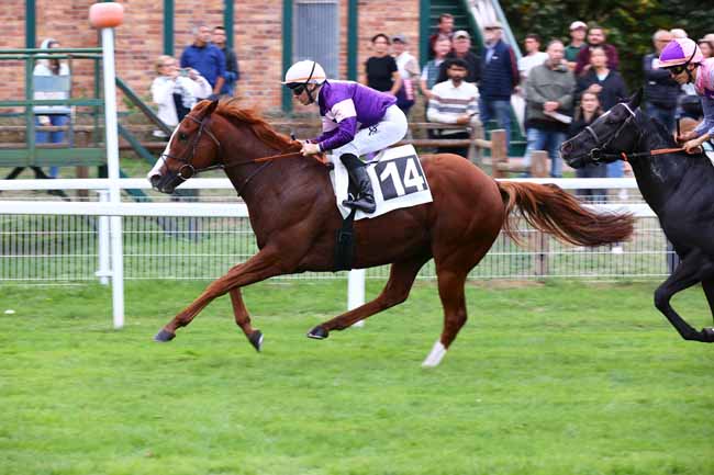 Photo d'arrivée de la course pmu PRIX DE LA MALMONTAGNE à FONTAINEBLEAU le Vendredi 16 octobre 2026