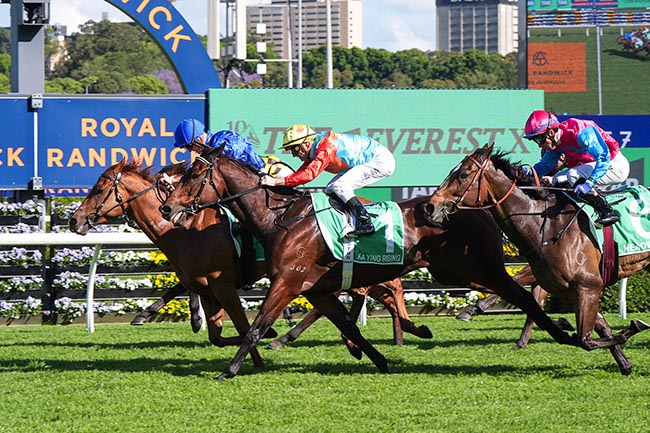Photo d'arrivée de la course pmu THE TAB EVEREST à RANDWICK le Samedi 17 octobre 2026