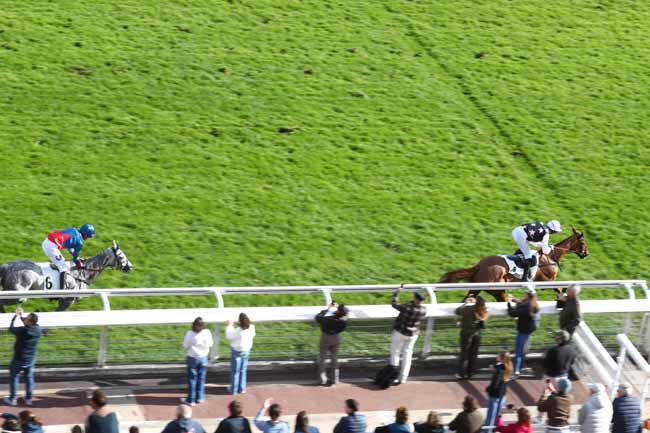 Arrivée quinté pmu PRIX PRINCE D'ECOUEN - GRAND HANDICAP D'AUTOMNE à AUTEUIL