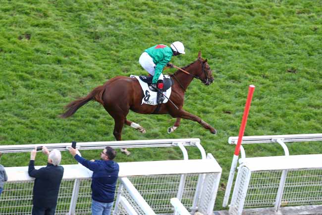 Photo d'arrivée de la course pmu PRIX PIERRE DE LASSUS à AUTEUIL le Samedi 17 octobre 2026