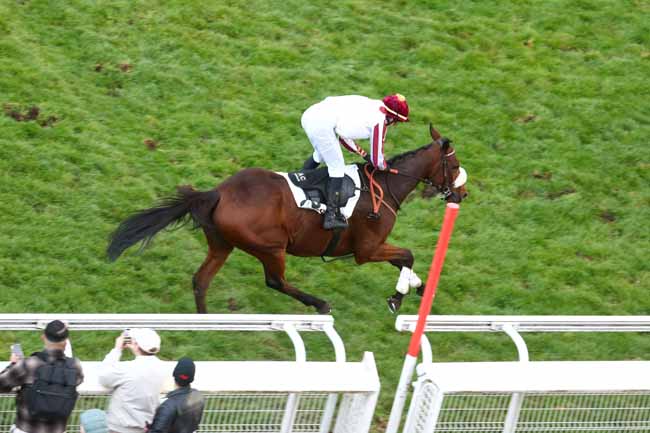 Photo d'arrivée de la course pmu PRIX SOULANGE-BODIN à AUTEUIL le Samedi 17 octobre 2026