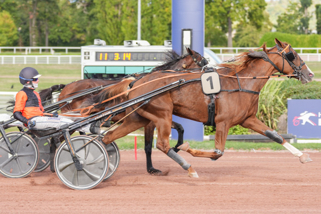 Photo d'arrivée de la course pmu PRIX DE LA PLACE SAINT-CHARLES à ENGHIEN le Samedi 17 octobre 2026