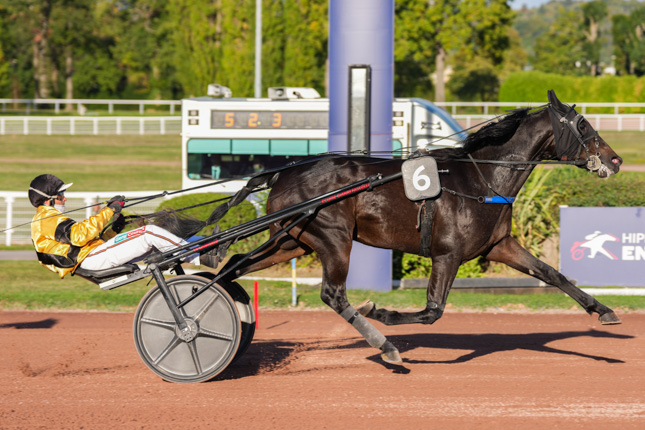 Photo d'arrivée de la course pmu PRIX DU CHAMP DE MARS à ENGHIEN le Samedi 17 octobre 2026