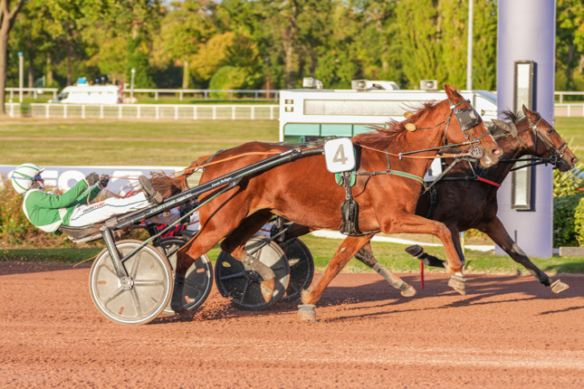 Photo d'arrivée de la course pmu PRIX DE LA PLACE DES VOSGES à ENGHIEN le Samedi 17 octobre 2026
