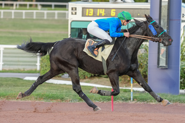 Photo d'arrivée de la course pmu PRIX DE LA PLACE DES FETES à ENGHIEN le Samedi 17 octobre 2026