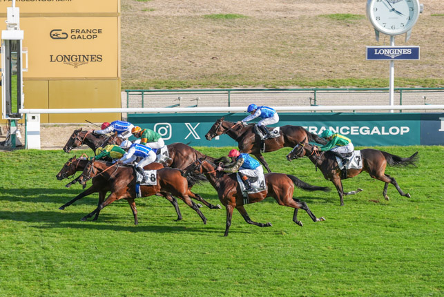 Photo d'arrivée de la course pmu PRIX DU CONSEIL DE PARIS à LONGCHAMP le Dimanche 18 octobre 2026