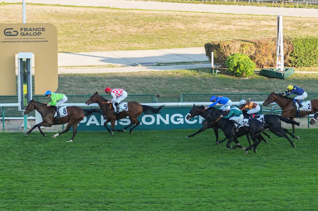 Photo d'arrivée de la course pmu PRIX DE LA CHAUSSEE à LONGCHAMP le Dimanche 18 octobre 2026