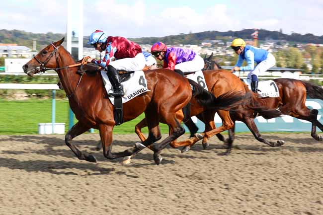 Arrivée quinté pmu PRIX DE LA FORET DE LYONS à DEAUVILLE