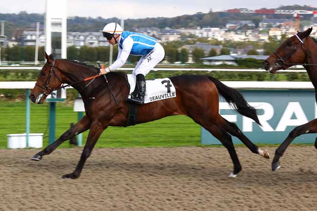 Photo d'arrivée de la course pmu PRIX EQUIDAYS (PRIX HABITAT) à DEAUVILLE le Lundi 19 octobre 2026