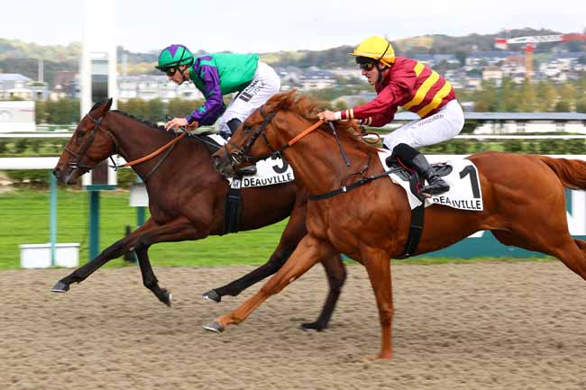 Photo d'arrivée de la course pmu PRIX DU PRE D'AUGE à DEAUVILLE le Lundi 19 octobre 2026