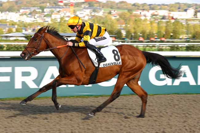 Photo d'arrivée de la course pmu PRIX DE LA VILLA LES ABEILLES à DEAUVILLE le Lundi 19 octobre 2026