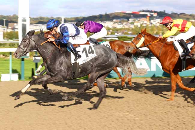 Photo d'arrivée de la course pmu PRIX DE LA FORET DE CINGLAIS à DEAUVILLE le Lundi 19 octobre 2026