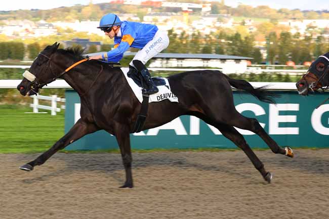 Photo d'arrivée de la course pmu PRIX DE LA FORET D'EAWY à DEAUVILLE le Lundi 19 octobre 2026