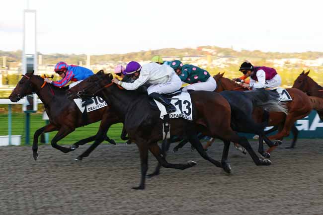 Photo d'arrivée de la course pmu PRIX DU MARAIS VERNIER à DEAUVILLE le Lundi 19 octobre 2026