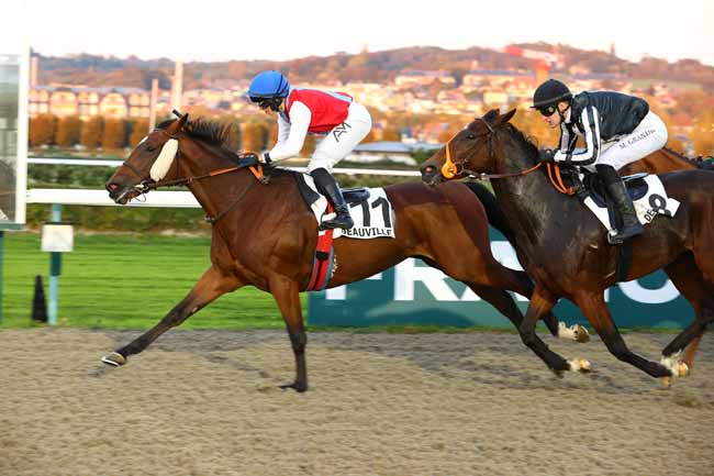 Photo d'arrivée de la course pmu PRIX DE LA FORET DE CERISY à DEAUVILLE le Lundi 19 octobre 2026